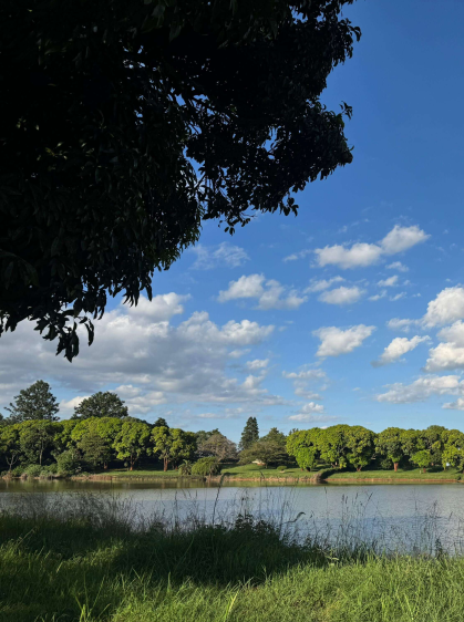 Smart Investment - Zuri Springs